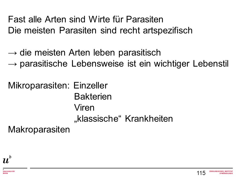 Die Birkenblätter von ljamblii